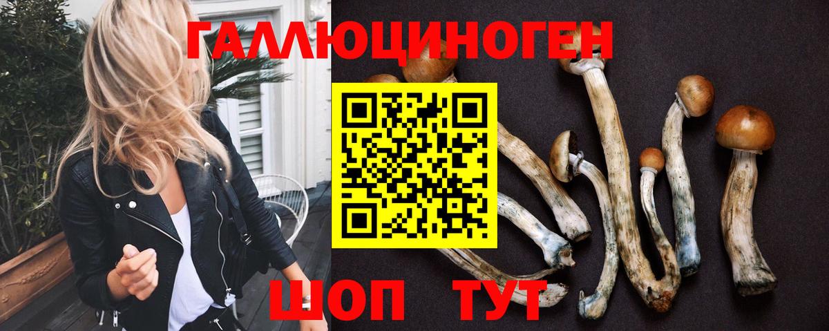 Галлюциногенные грибы Cubensis Туймазы